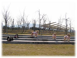 �[��ꎞ�̂�񂱒B