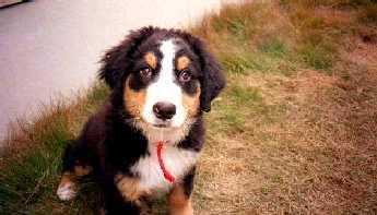 �΂��A3����