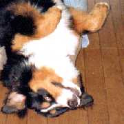 「あぁ、何だかいい気分・・・。」