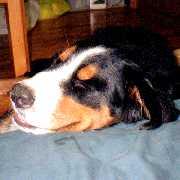 「むにゃ、むにゃ・・・」