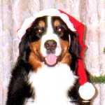 �΂��T���^�̂ł�������B