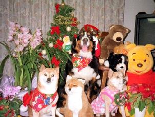 �΁[�Ɂ[�B�͂ǂ��ɂ���ł��傤�B