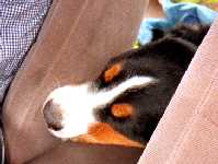 �y�y�y�E�E�E�H