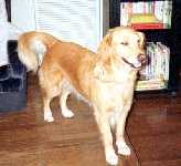 ���������B