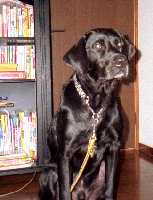 ���������B