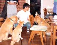 �e�g�����̂�������ɂ����������Ă���B