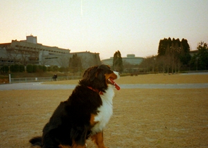 ���̌����ɂ͂�������̂��F�B�����܂��B