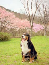 �����炢�āA��������̐l�Ԃ��E�E�E�B