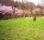 ���ꂪ�u�ς����A�ς����B�v