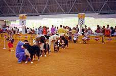 �݂�ȃt���t���A���o�[�j�[�Y!!