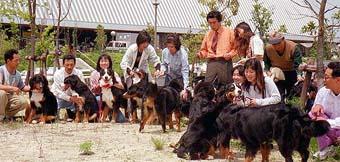 �΁[�Ɂ[�́A�ǂ�����?