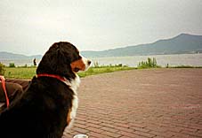 �����C���������B