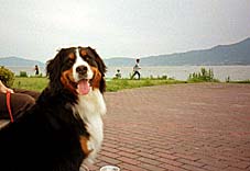 ����̃G�T���C�ɂȂ��B