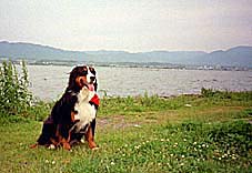 ��`���B���i�΂����B