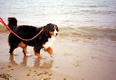 �ււ��A��������B