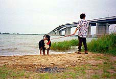 ���x�͉j���ł݂����ȁB