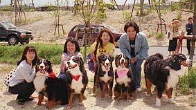 �����N�̂ނ�̂��F�B