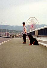 ������ƁA�x�e�B