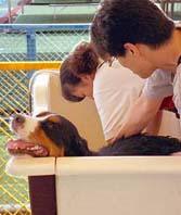 �����A���������B