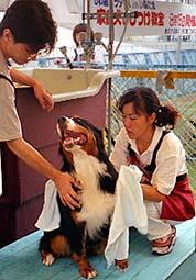 �����ς�A���@���B