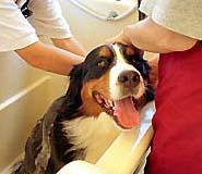 �΁[�Ɂ[�A�������������