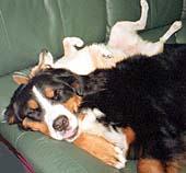 ���[�A�����A�ҁ[�B�ӂ�A�t���A�ӂ�E�E�E�B