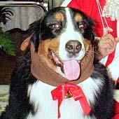 �g�i�J�C���񂾂�