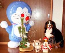 �z���g�ɋ����񂾂�B�h�������E�E�E�B����炵�āE�E�E�B