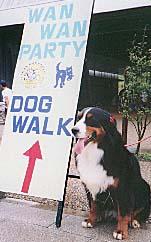 �p�[�e�B�[���O�B