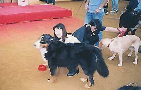 �H�ׂ�͓̂��ӂ��������E�E�E�B