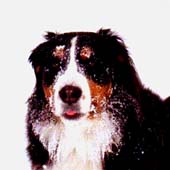 �����A�A�肽��?!