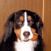 �݂Ȃ���A�����C�ł���?