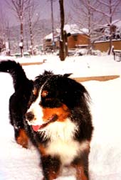 ��̒��A���C100�{!!