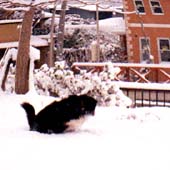 ����A������Ǝ���E�E�E�B