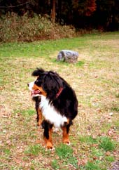 �L�Ȃ�ĒT���Ă܂��`��B�܂��A����ꂿ�Ⴄ�B