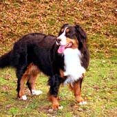 ���U���A���ꂵ��!!