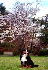 �����A���Ԍ�!!���������ł��B