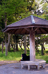 ���났�΂������B