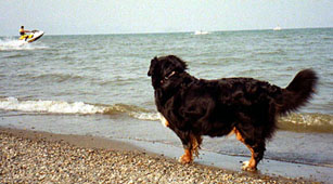 ���i�΂�]�ނ΁[�Ɂ[�B