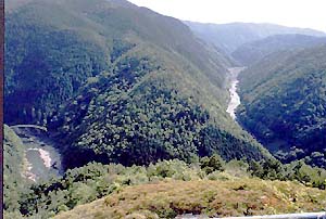 �ےË���]��ŁE�E�E�B