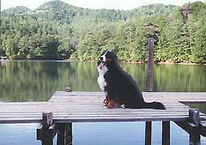 ���ӂ͋C���������B