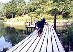 �˂��A��񂾁[���B