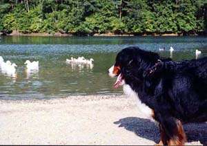 �A�q����D���B