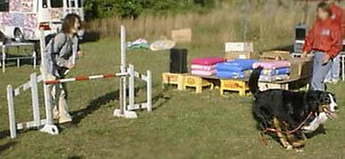 �������!!