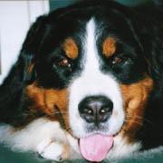 ����̃\�t�@�ł��낢�ł��܂�