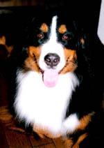 �����͂���Ȋ����E�E�E�B