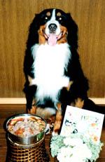 �G�w�b�A�����������炢�܂����B