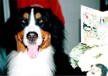 ��������3�΁A��l�̖��͂ł��܂�܂��B