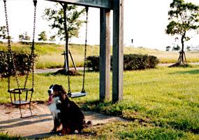 �����͂�߂Ă�ˁB�������B