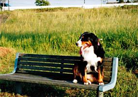 �x���`�ɍ������Ⴈ��!!